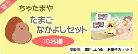 chatamaya2 chatamaya2